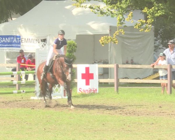 Reitturnier Langenthal 2019