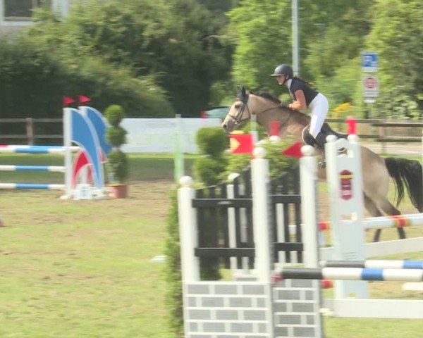 Reitturnier Langenthal 2019