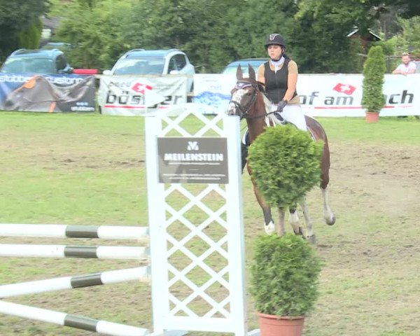 Reitturnier Langenthal 2019
