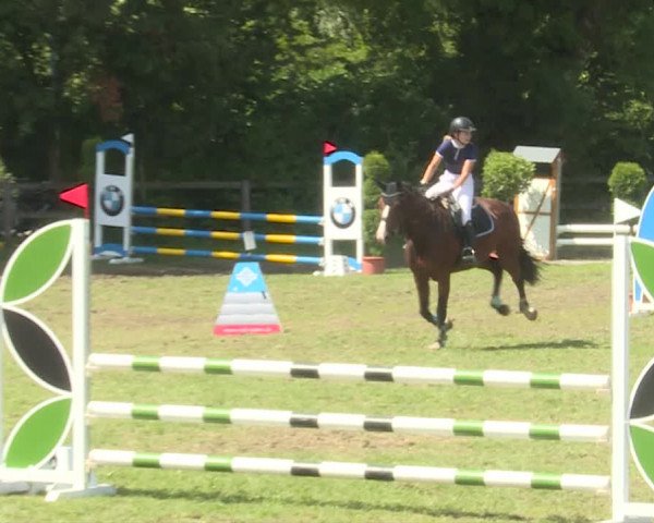 Reitturnier Langenthal 2019