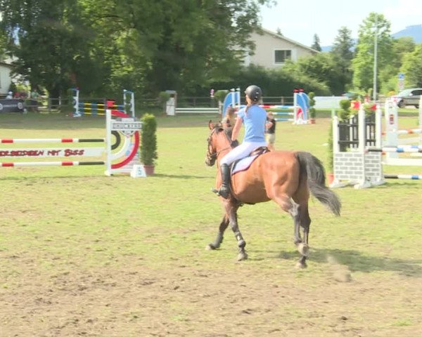 Reitturnier Langenthal 2019
