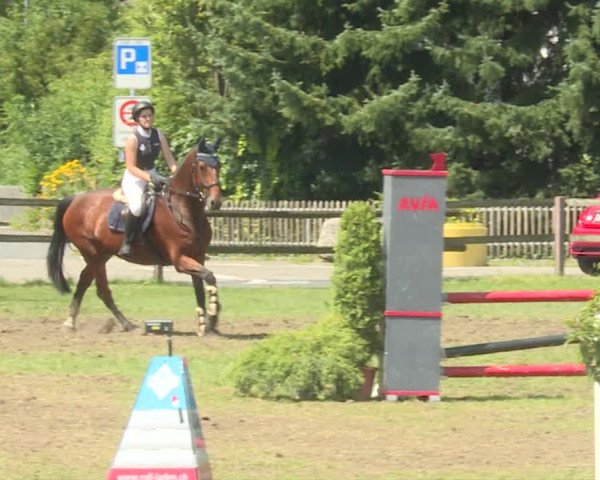 Reitturnier Langenthal 2019