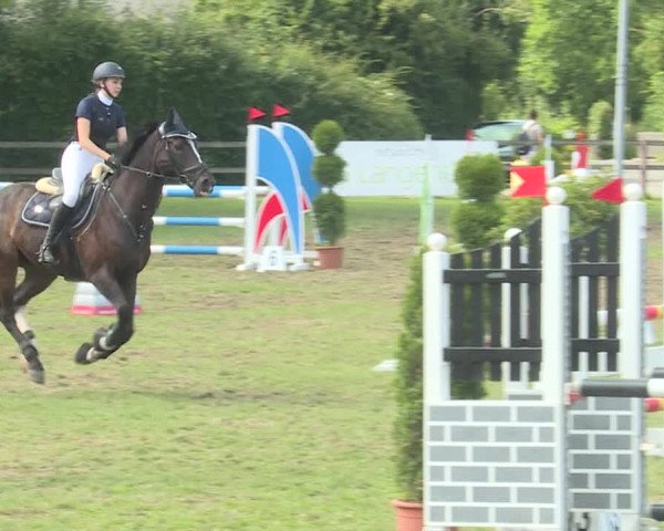 Reitturnier Langenthal 2019