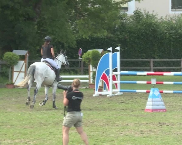 Reitturnier Langenthal 2019