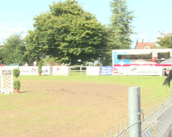 Reitturnier Langenthal 2019