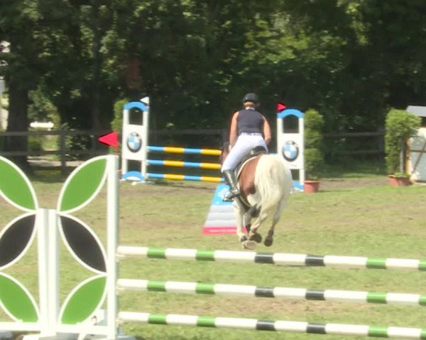 Reitturnier Langenthal 2019