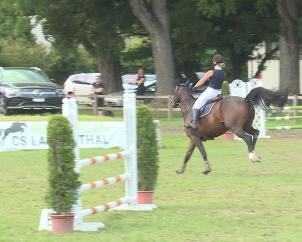 Reitturnier Langenthal 2019