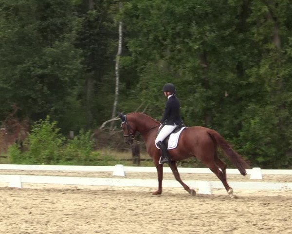 Reitturnier Olfen-Vinnum 2019