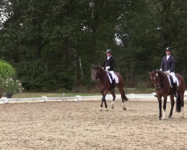 Reitturnier Olfen-Vinnum 2019
