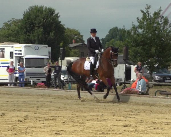 Reitturnier Neuss-Uedesheim 2019