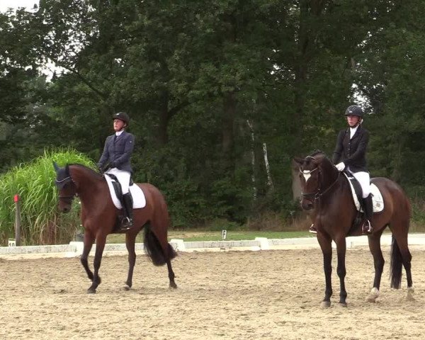 Reitturnier Olfen-Vinnum 2019