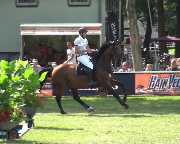 Reitturnier Zobbenitz 2019