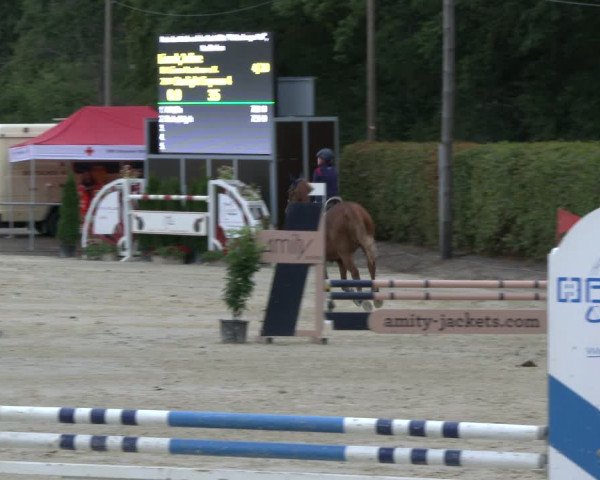 Reitturnier Olfen-Vinnum 2019
