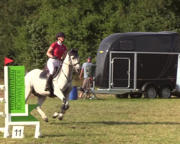 Reitturnier Sollerup 2019