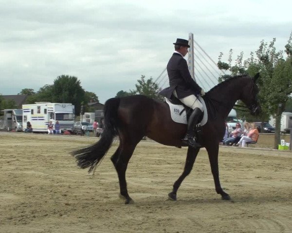 Reitturnier Neuss-Uedesheim 2019