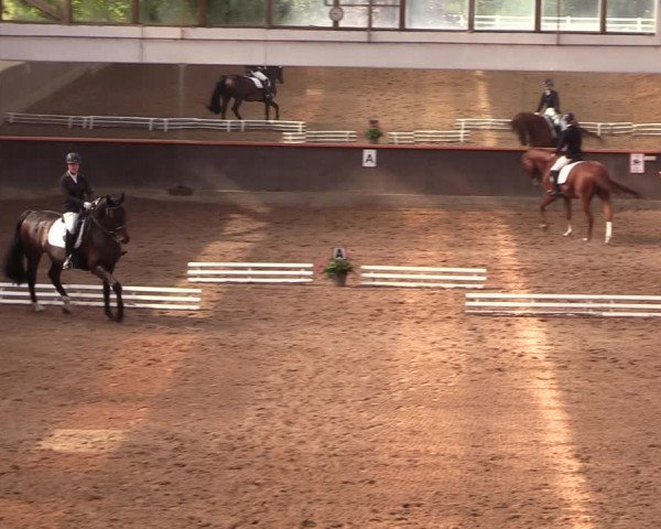 Reitturnier Dallgow 2019
