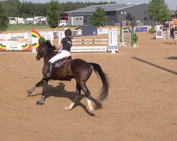 Reitturnier Jagstzell 2019