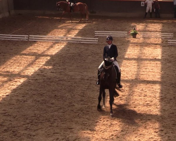 Reitturnier Dallgow 2019