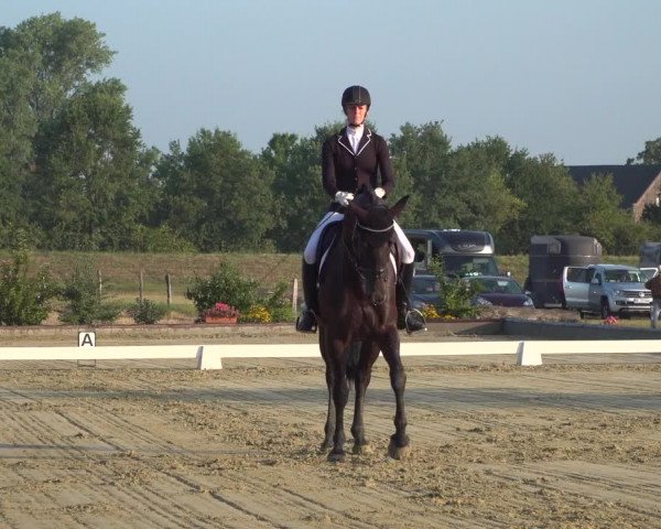 Reitturnier Neuss-Uedesheim 2019
