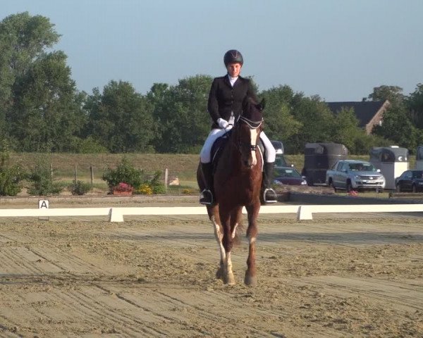 Reitturnier Neuss-Uedesheim 2019