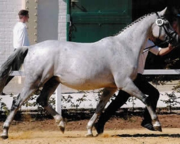 broodmare Mon Bijou (Trakehner, 1992, from Herzruf)