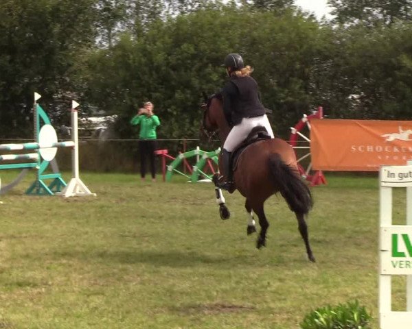 Reitturnier Sollerup 2019