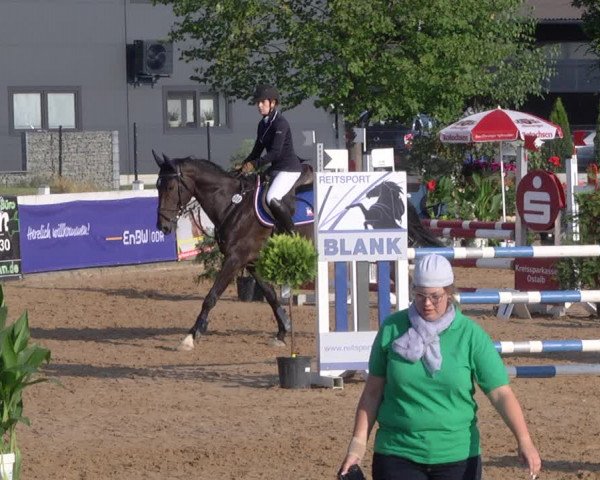 Reitturnier Jagstzell 2019