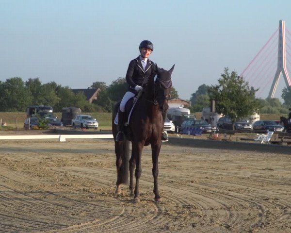 Reitturnier Neuss-Uedesheim 2019