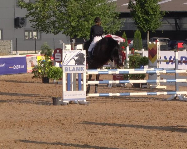 Reitturnier Jagstzell 2019
