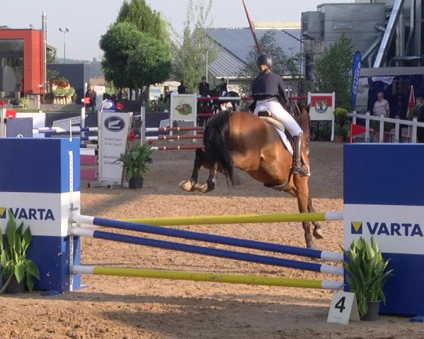 Reitturnier Jagstzell 2019