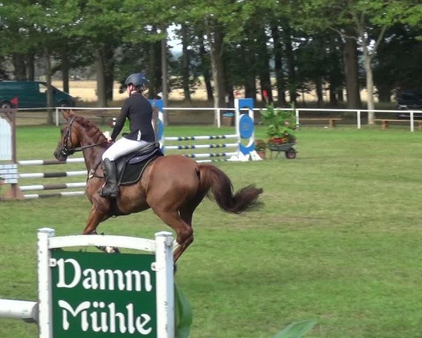 Reitturnier Zobbenitz 2019