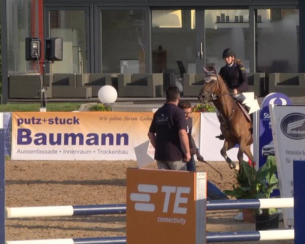 Reitturnier Jagstzell 2019