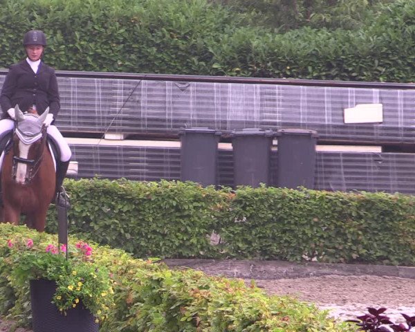 Reitturnier Olfen-Vinnum 2019