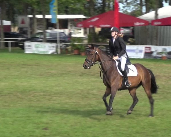 Reitturnier Zobbenitz 2019
