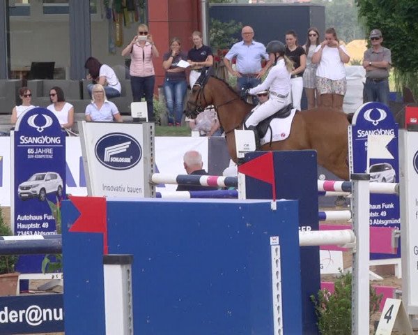 Reitturnier Jagstzell 2019