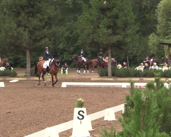 Reitturnier Dallgow 2019