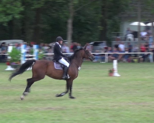 Reitturnier Zobbenitz 2019