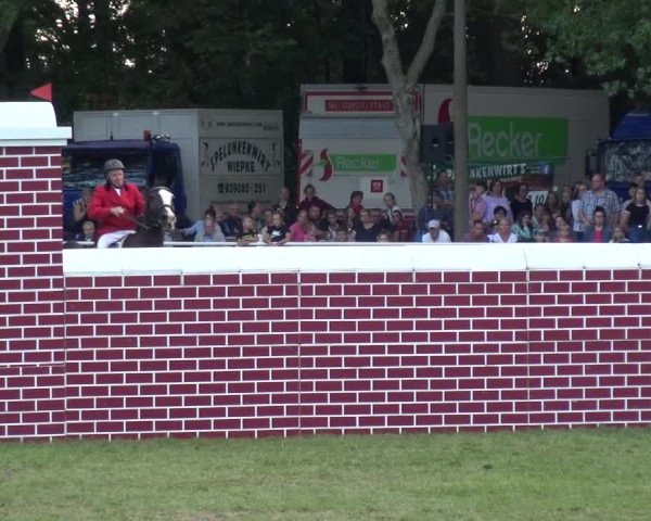 Reitturnier Zobbenitz 2019