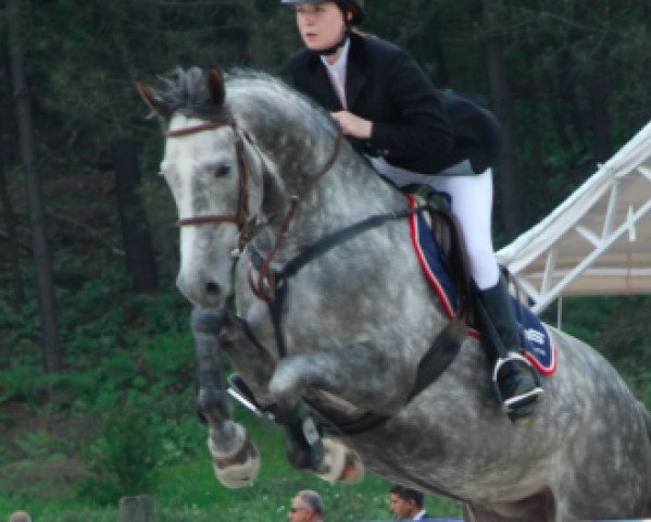 broodmare Chilly (Westphalian, 2004, from Capitalist)