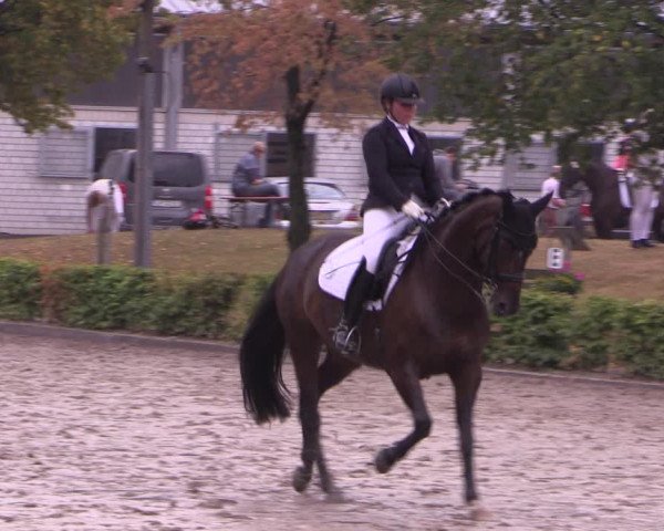 Reitturnier Olfen-Vinnum 2019