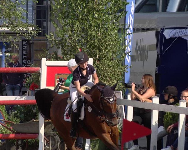 Reitturnier Jagstzell 2019