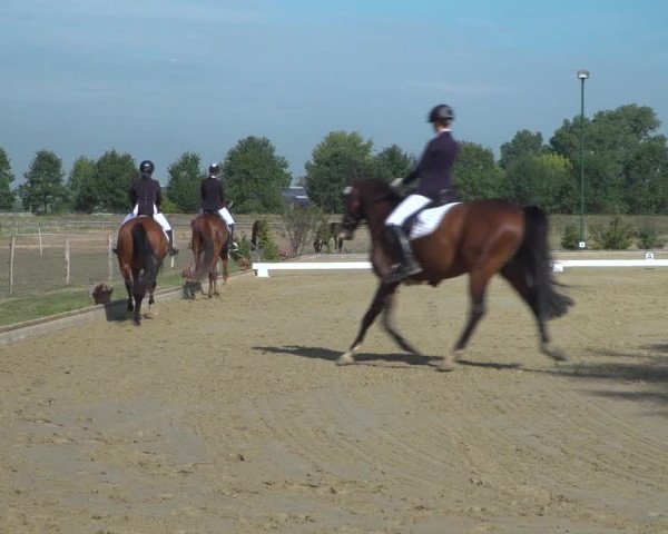 Reitturnier Neuss-Uedesheim 2019