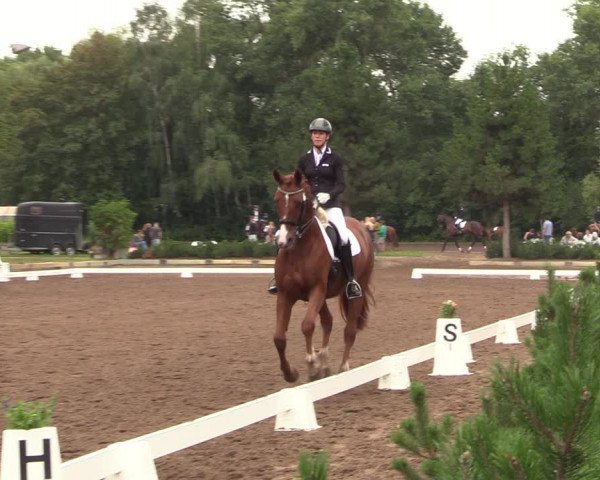Reitturnier Dallgow 2019