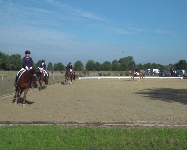 Reitturnier Neuss-Uedesheim 2019