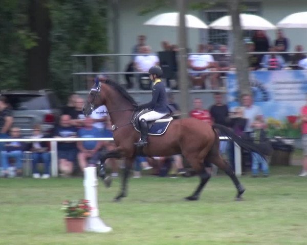 Reitturnier Zobbenitz 2019
