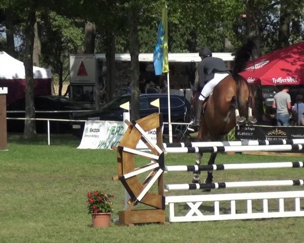 Reitturnier Zobbenitz 2019