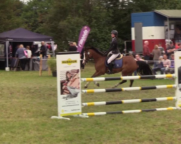 Reitturnier Sollerup 2019