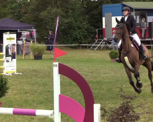 Reitturnier Sollerup 2019