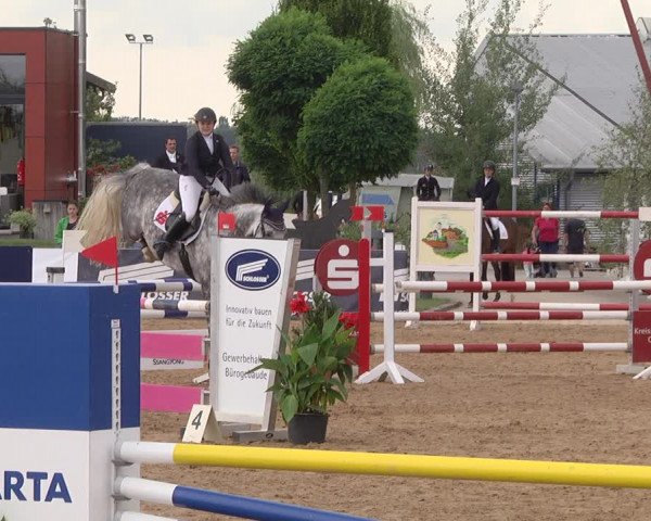 Reitturnier Jagstzell 2019