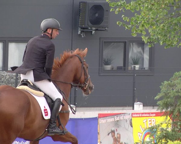Reitturnier Jagstzell 2019